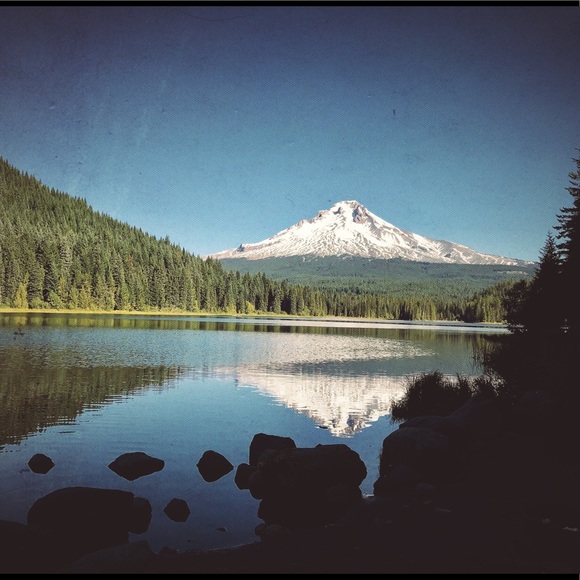 Meet your Posher, {Reagan, Hubby & Porter 🐱} - Picture 3 of 3